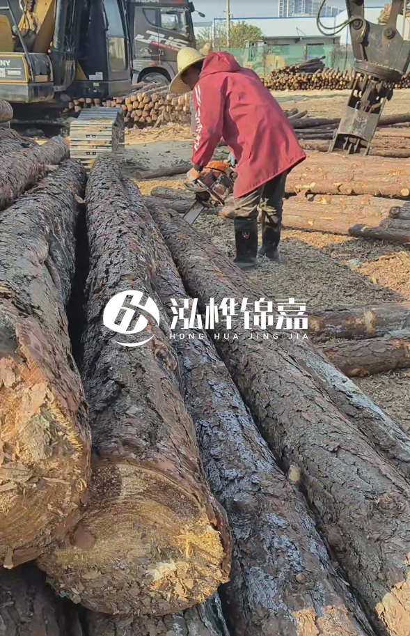 長(zhǎng)沙打樁木批發(fā)廠家在哪里？聯(lián)系方式是什么？